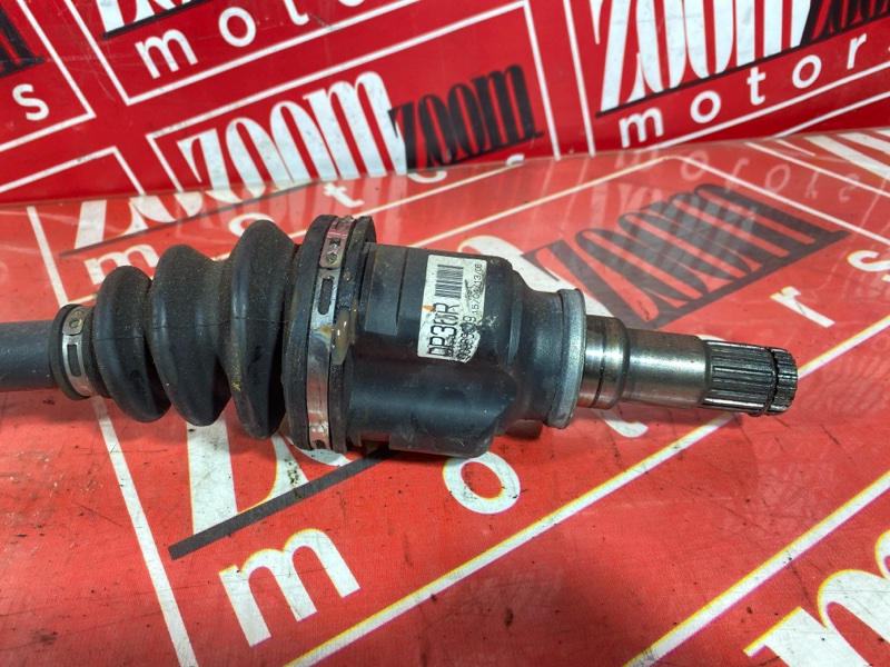 Привод, 4000 рублей, Солонцы