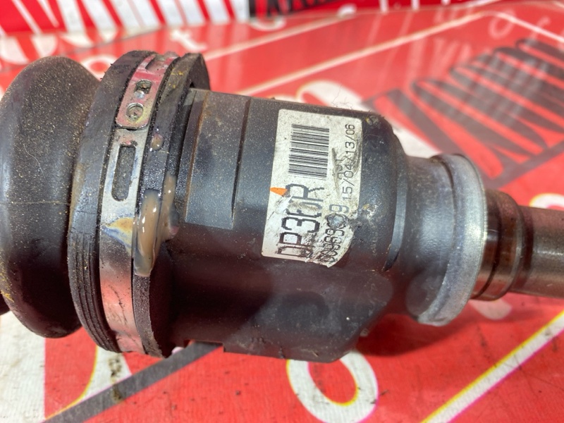 Привод, 4000 рублей, Солонцы