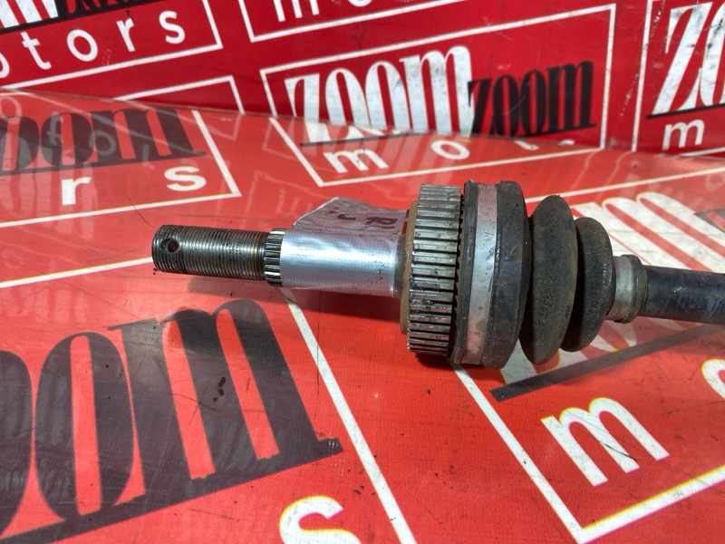 Привод, 1000 рублей, Солонцы