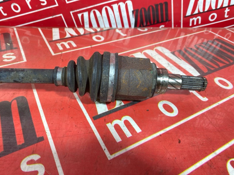 Привод, 1000 рублей, Солонцы