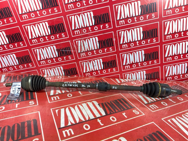 Привод, 3500 рублей, Солонцы