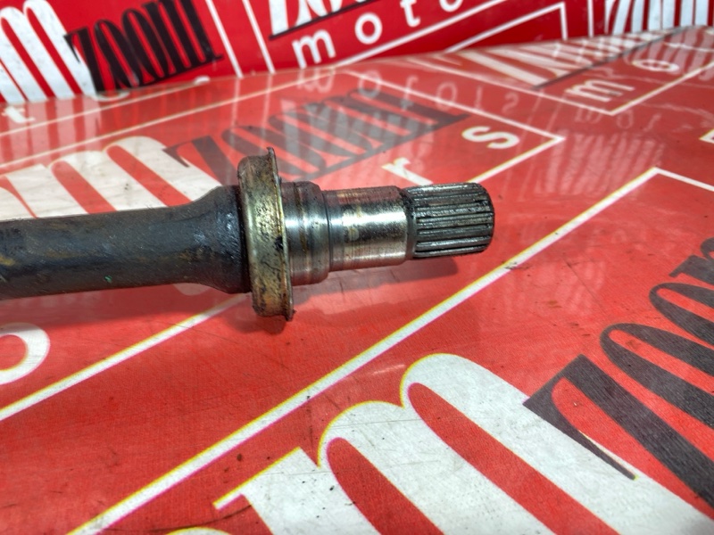 Привод, 8000 рублей, Солонцы