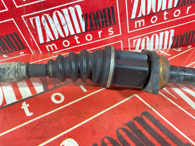 Привод, 3800 рублей, Солонцы