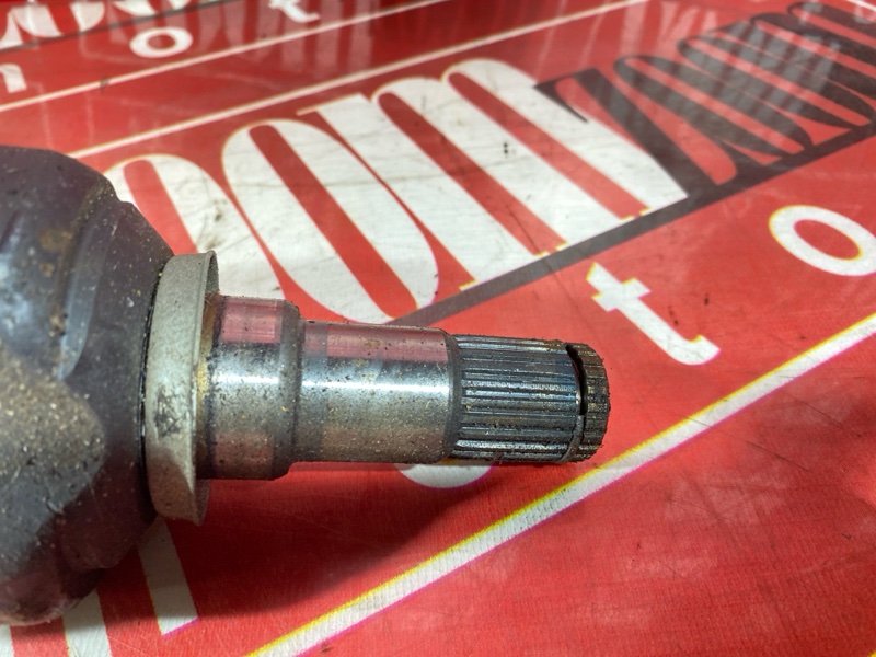 Привод, 1800 рублей, Солонцы