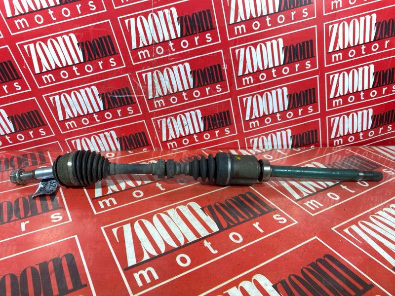 Привод, 11000 рублей, Солонцы