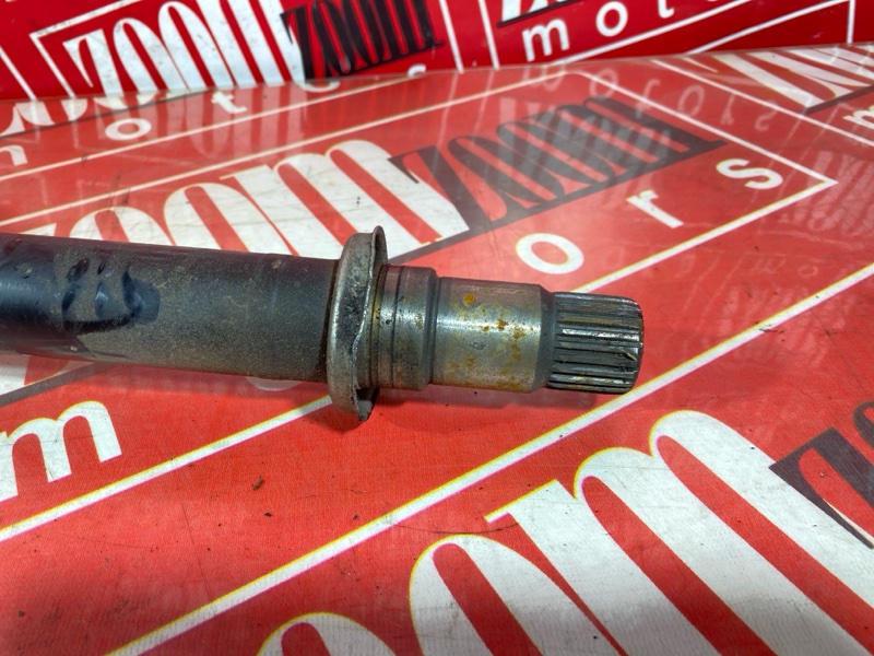 Привод, 3500 рублей, Солонцы