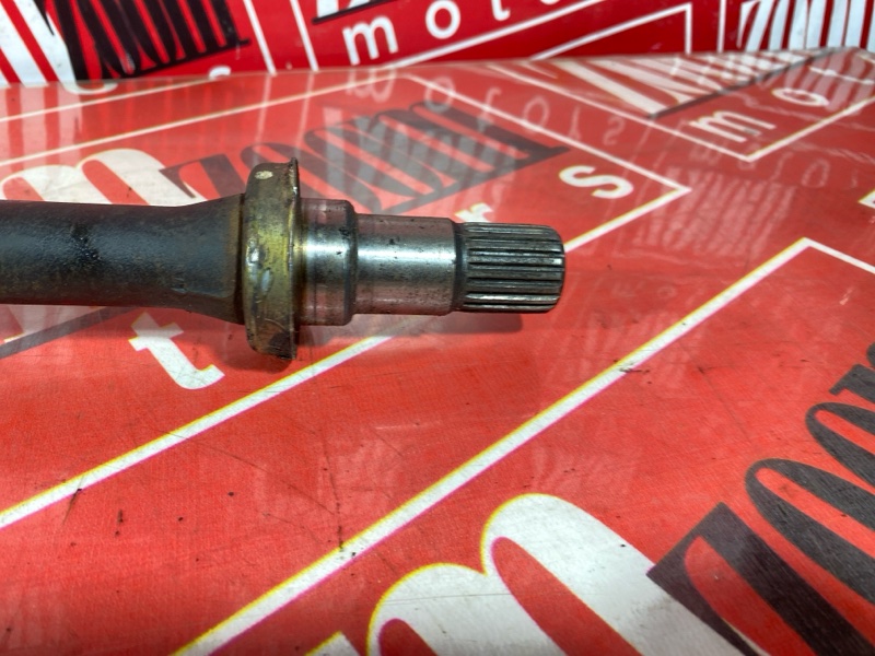 Привод, 10000 рублей, Солонцы