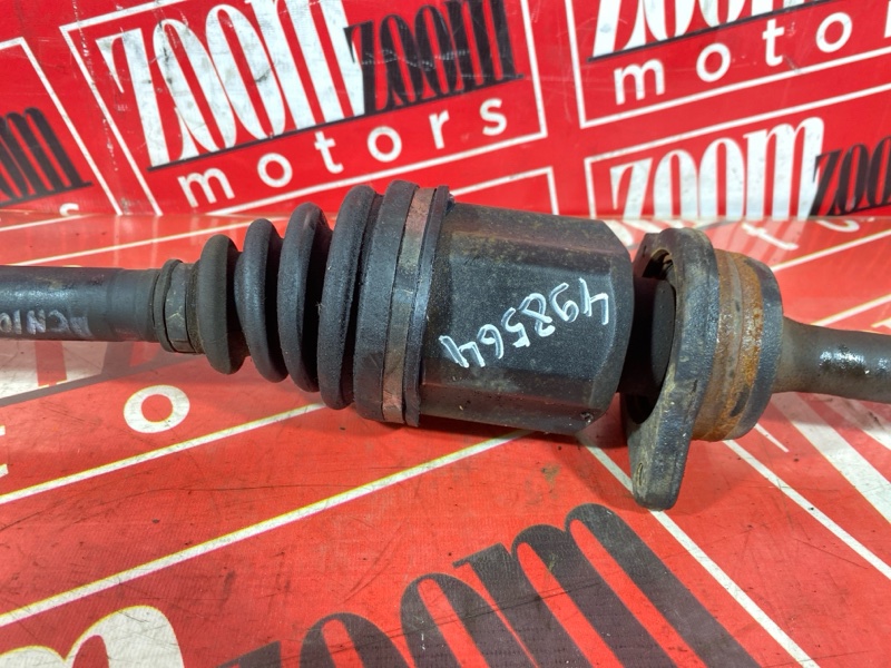 Привод, 10000 рублей, Солонцы