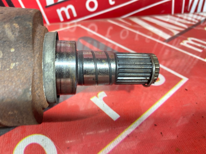 Привод, 3500 рублей, Солонцы