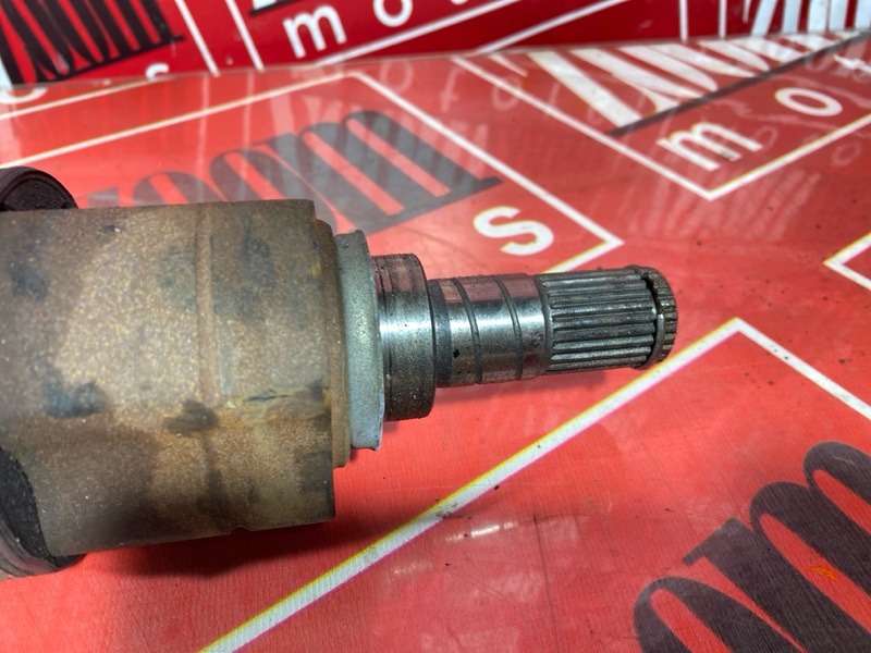 Привод, 3500 рублей, Солонцы