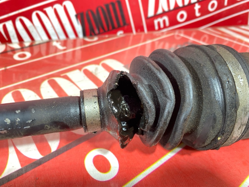 Привод, 3500 рублей, Солонцы