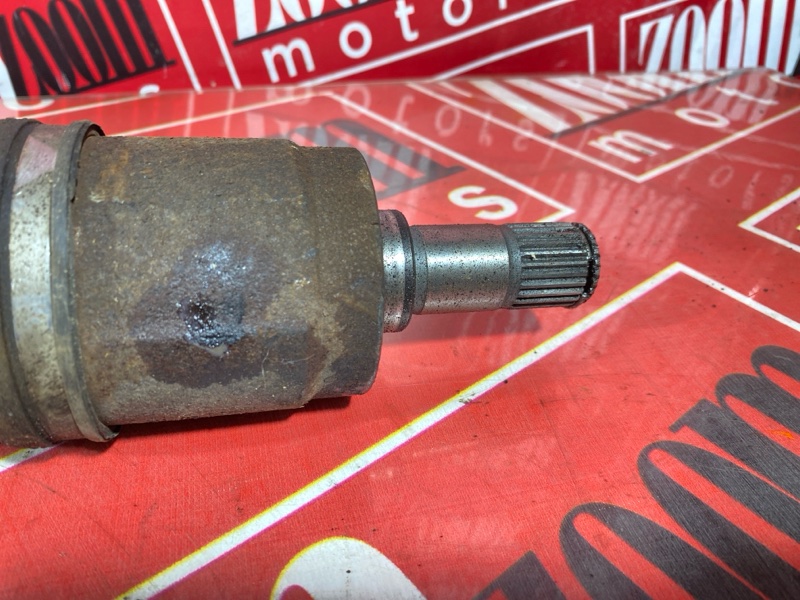 Привод, 1800 рублей, Солонцы