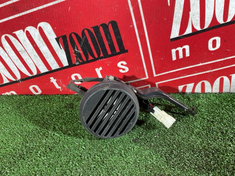 Сигнал, 1000 рублей, Солонцы