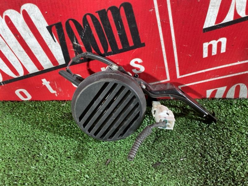 Сигнал, 1000 рублей, Солонцы