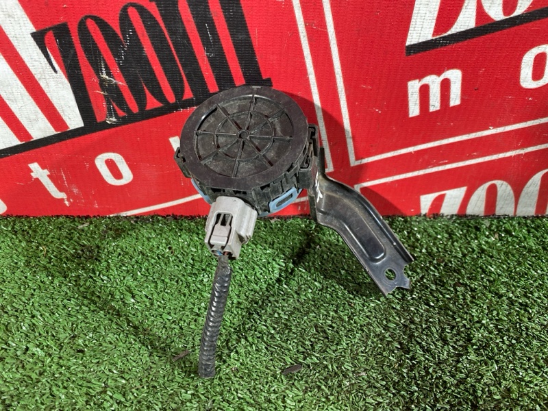 Сигнал, 900 рублей, Солонцы