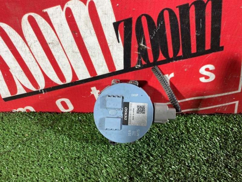 Сигнал, 900 рублей, Солонцы