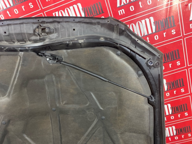 Капот, 10000 рублей, Солонцы