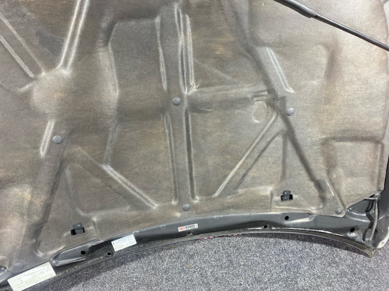 Капот, 10000 рублей, Солонцы