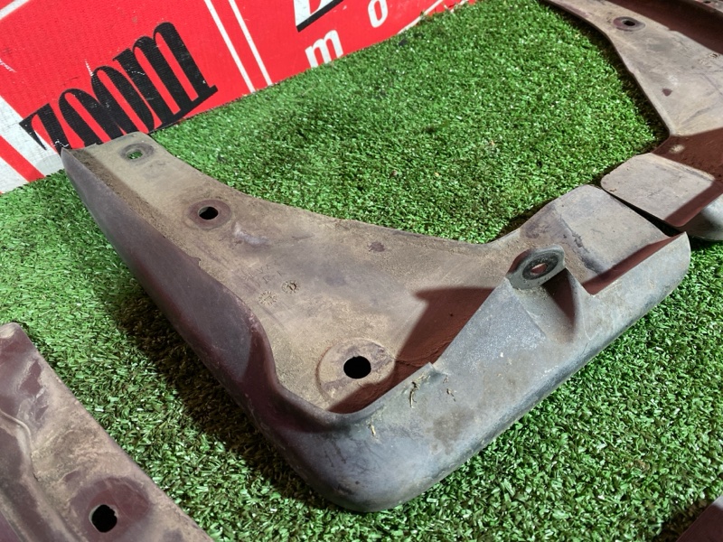 Брызговик, 2500 рублей, Солонцы