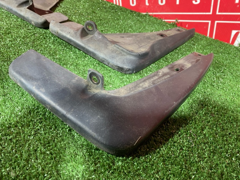 Брызговик, 2500 рублей, Солонцы