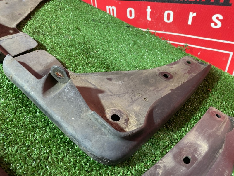 Брызговик, 2500 рублей, Солонцы