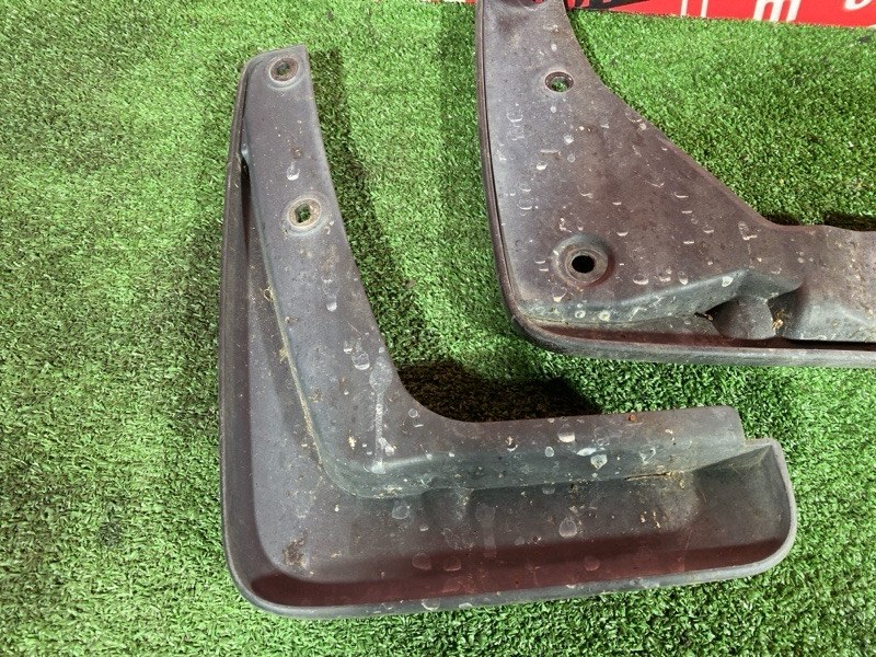 Брызговик, 2500 рублей, Солонцы