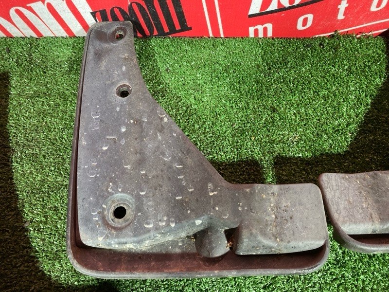 Брызговик, 2500 рублей, Солонцы