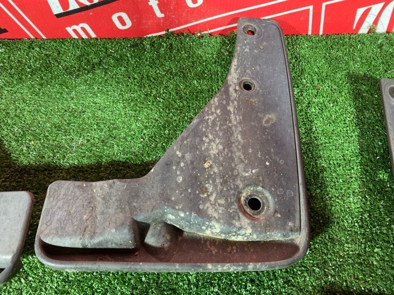 Брызговик, 2500 рублей, Солонцы