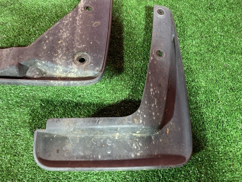 Брызговик, 2500 рублей, Солонцы