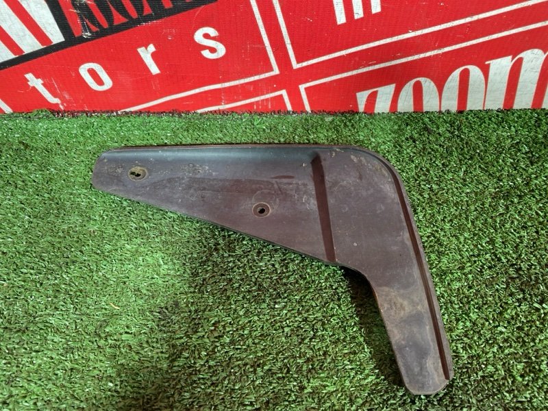 Брызговик, 3000 рублей, Солонцы