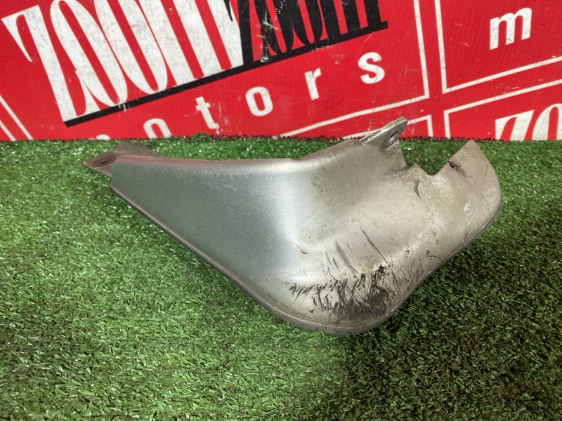 Брызговик, 2000 рублей, Солонцы