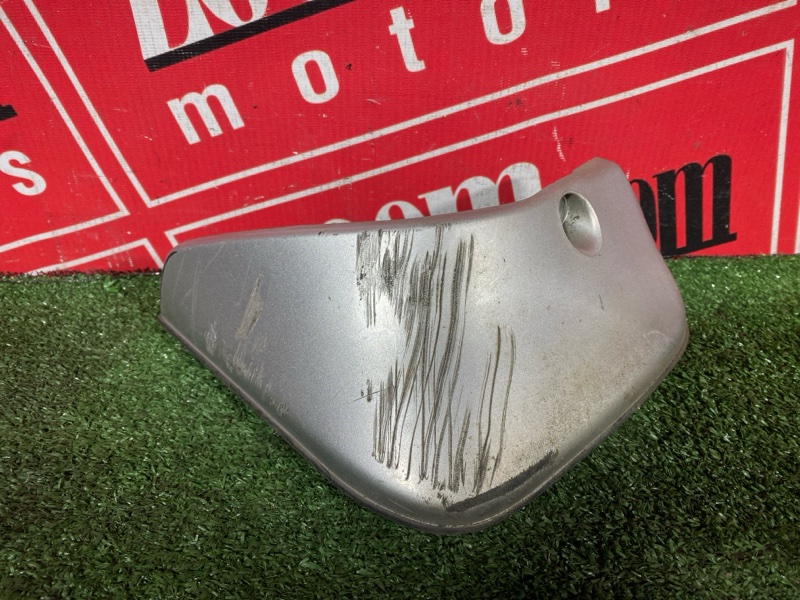 Брызговик, 2000 рублей, Солонцы