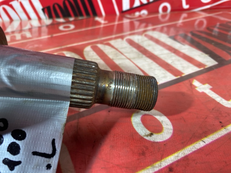 Привод, 2000 рублей, Солонцы