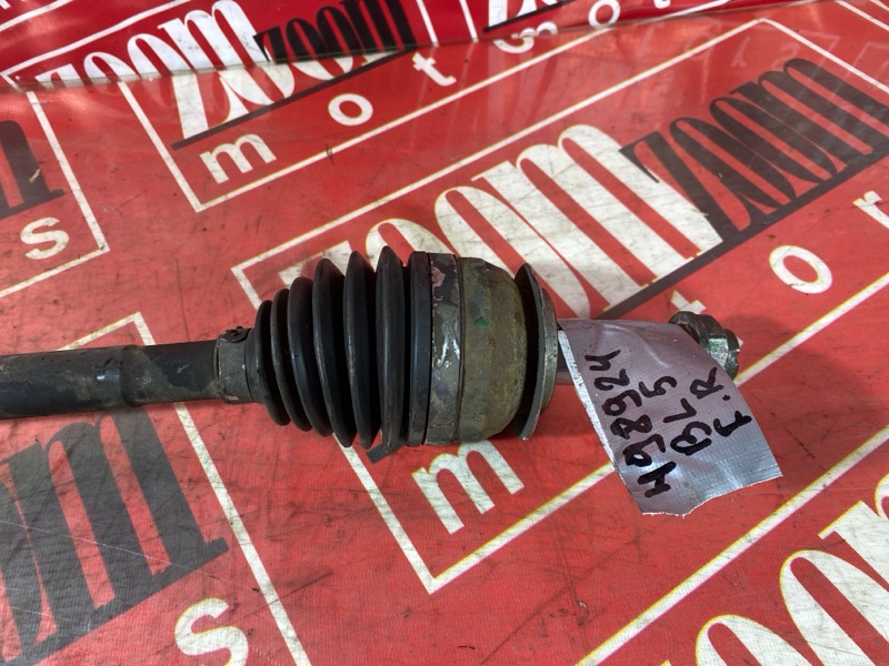 Привод, 3000 рублей, Солонцы