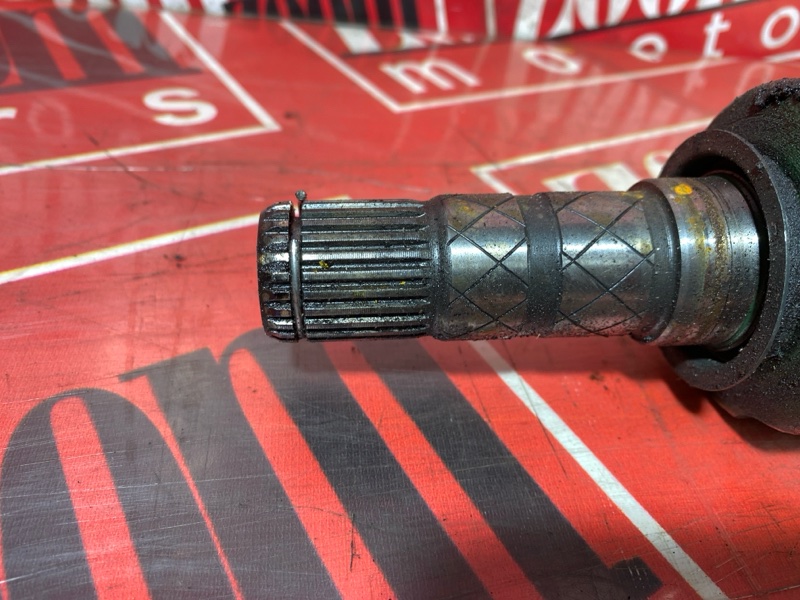 Привод, 3000 рублей, Солонцы