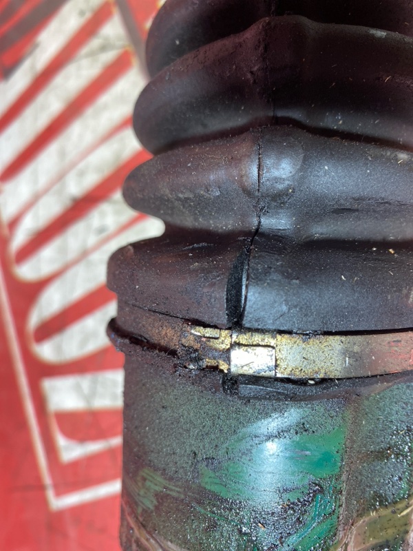 Привод, 3000 рублей, Солонцы