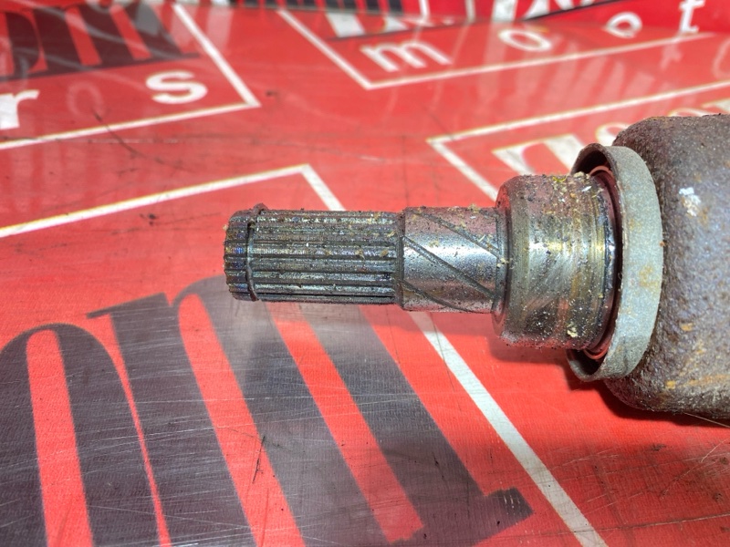 Привод, 1500 рублей, Солонцы