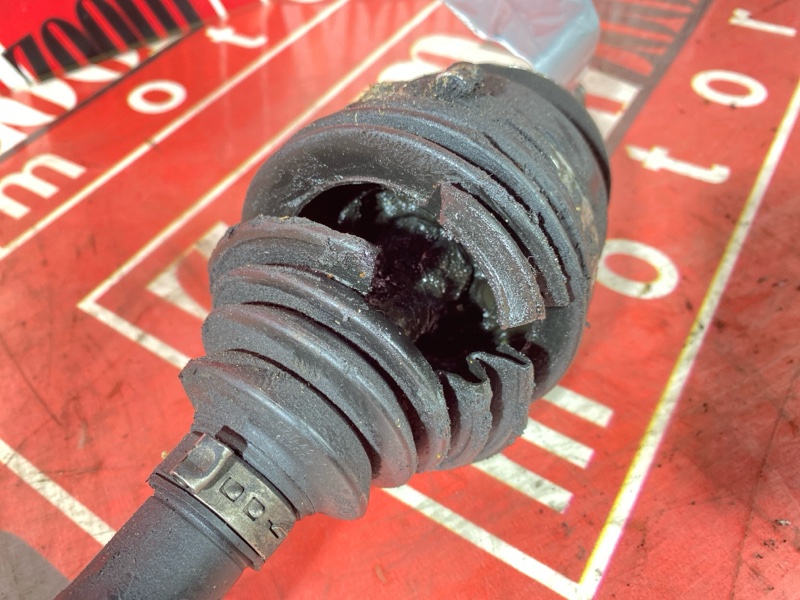 Привод, 4000 рублей, Солонцы