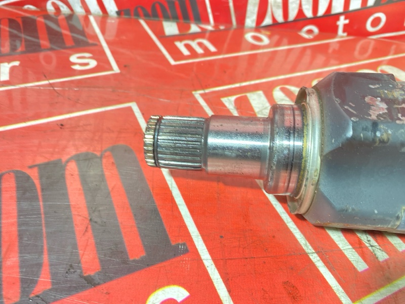 Привод, 5000 рублей, Солонцы