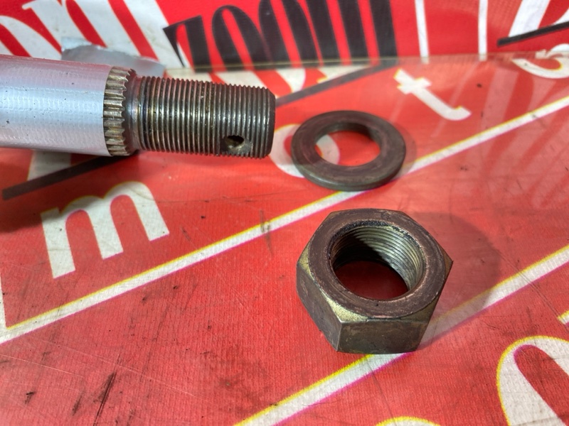 Привод, 3800 рублей, Солонцы