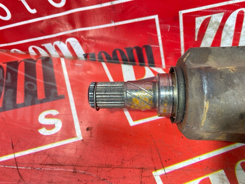 Привод, 3800 рублей, Солонцы