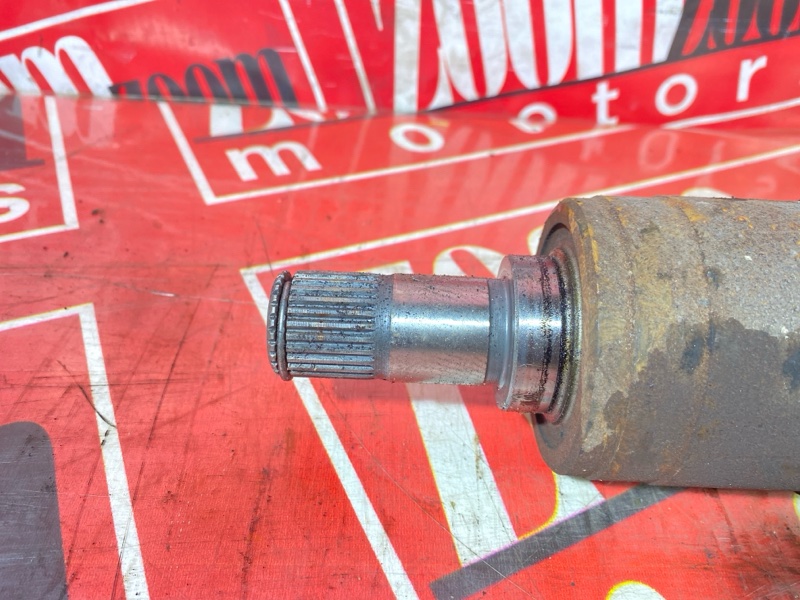 Привод, 3000 рублей, Солонцы