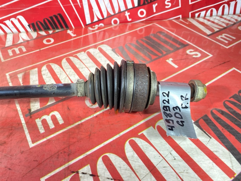 Привод, 3400 рублей, Солонцы