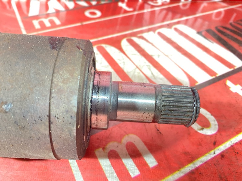 Привод, 11000 рублей, Солонцы