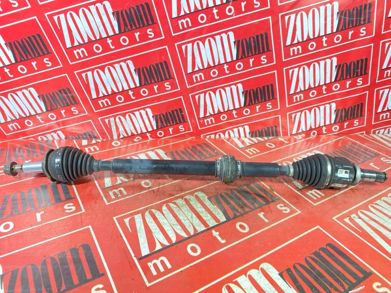 Привод, 3400 рублей, Солонцы