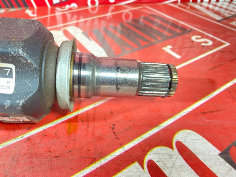 Привод, 3400 рублей, Солонцы