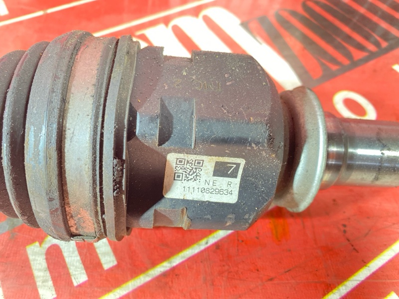 Привод, 3400 рублей, Солонцы