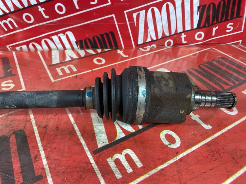 Привод, 3500 рублей, Солонцы