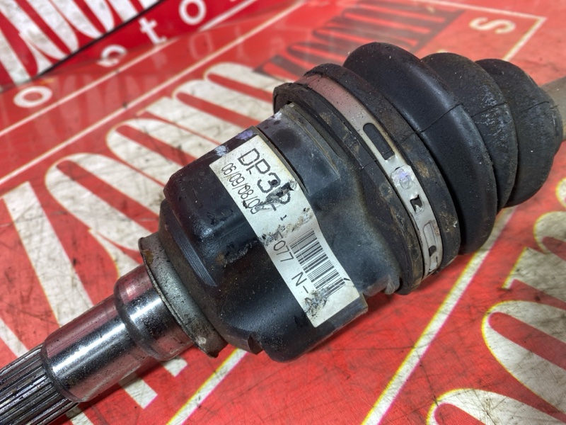 Привод, 2400 рублей, Солонцы