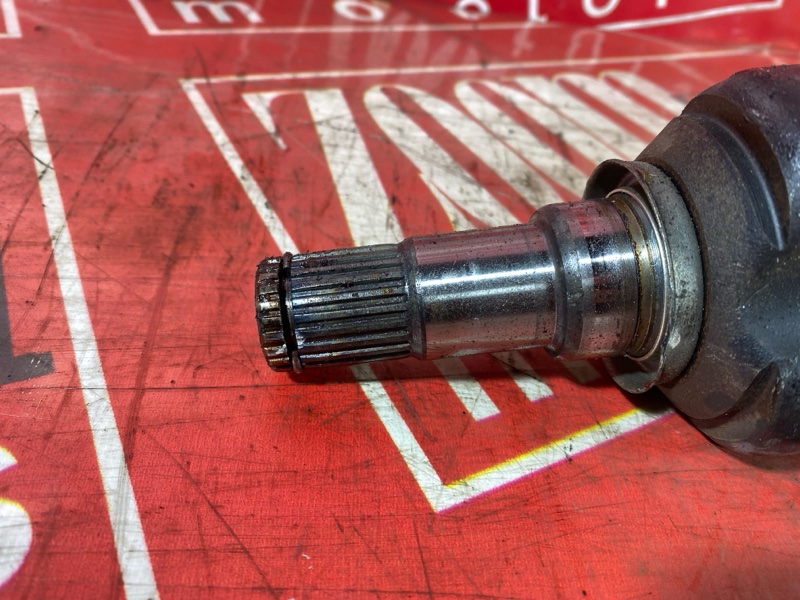 Привод, 2400 рублей, Солонцы